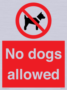 No dogs allowed